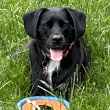 Entry image for Annie