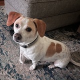 Entry image for Drax