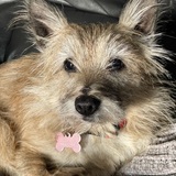 Entry image for Khaki