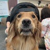 Entry image for UTAH