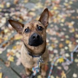 Entry image for Chance