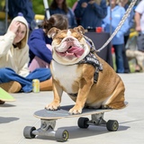 Entry image for Maverick