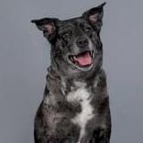 Entry image for Cali