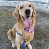 Entry image for HUDSON