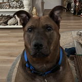 Entry image for Banks