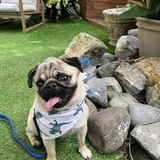 Entry image for Maverick