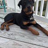 Entry image for Banks