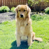 Entry image for Ruffles