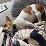 Entry image for Mitchell