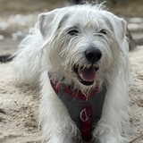 Entry image for George