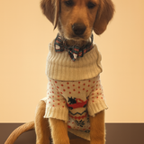 Entry image for Bayleigh Scout