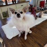 Entry image for Murphy McDermit