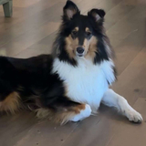 Entry image for Delilah