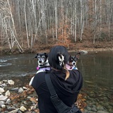 Entry image for Chichi