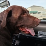 Entry image for Anchor ⚓️ 