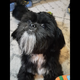 Entry image for Loki