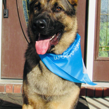 Entry image for Lincoln