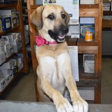 Entry image for Maddie