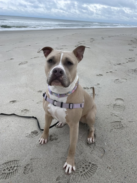 Entry image for Eleanor. Clicking this image will show a larger photo