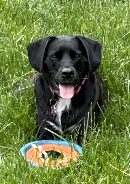 Entry image for Annie. Clicking this image will show a larger photo