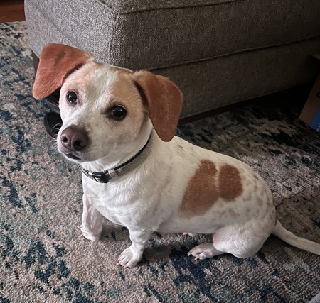 Entry image for Drax. Clicking this image will show a larger photo