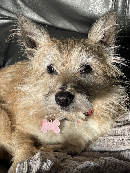 Entry image for Khaki. Clicking this image will show a larger photo