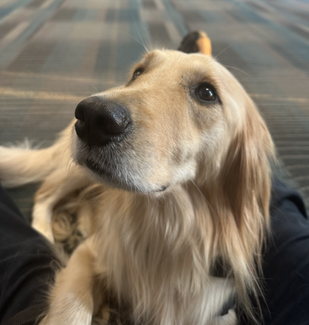 Entry image for CASH. Clicking this image will show a larger photo