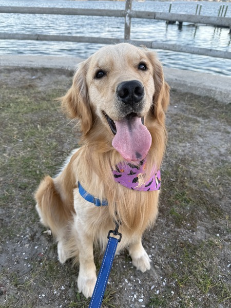 Entry image for HUDSON. Clicking this image will show a larger photo