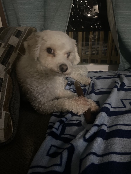 Entry image for Noodle . Clicking this image will show a larger photo