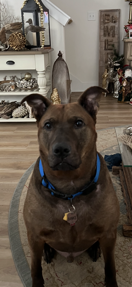 Entry image for Banks. Clicking this image will show a larger photo