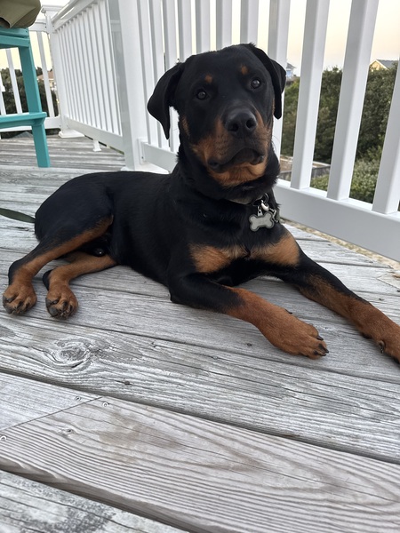 Entry image for Banks. Clicking this image will show a larger photo