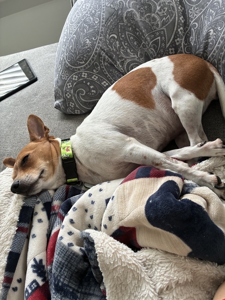 Entry image for Mitchell. Clicking this image will show a larger photo