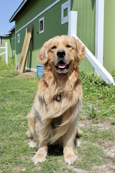 Entry image for Captain. Clicking this image will show a larger photo