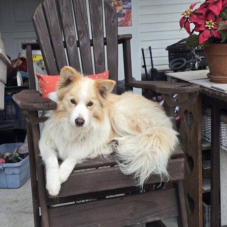 Entry image for Vegas. Clicking this image will show a larger photo