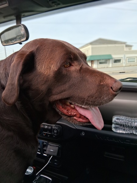 Entry image for Anchor ⚓️ . Clicking this image will show a larger photo