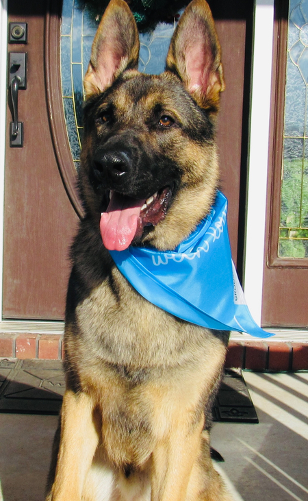 Entry image for Lincoln. Clicking this image will show a larger photo