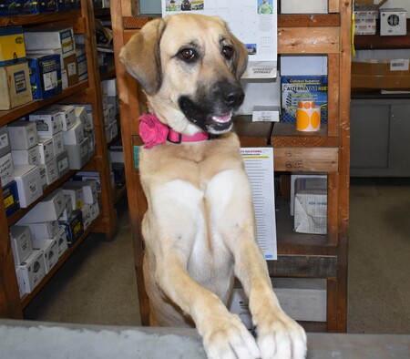 Entry image for Maddie. Clicking this image will show a larger photo