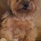 Entry image for Benny