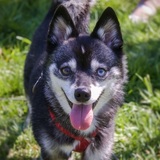 Entry image for Skye