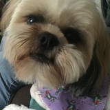 Entry image for Bailee