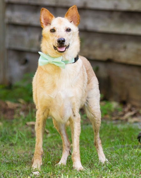 Entry image for Oliver. Clicking this image will show a larger photo