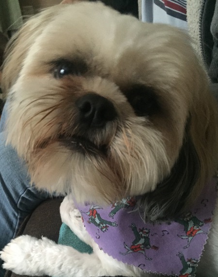 Entry image for Bailee. Clicking this image will show a larger photo