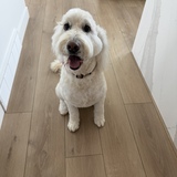 Entry image for Byrd 