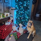 Entry image for Arlo