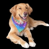 Entry image for Lana 