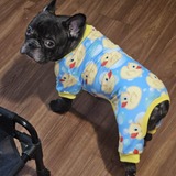 Entry image for Pancho Villa