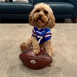 Entry image for Winnie