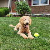 Entry image for Marlin