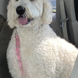 Entry image for Lucy Lou