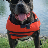 Entry image for Cooper